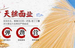 河北天絲面業有限公司
